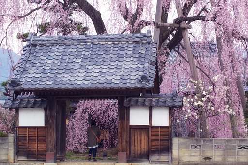 山門の向う側へ