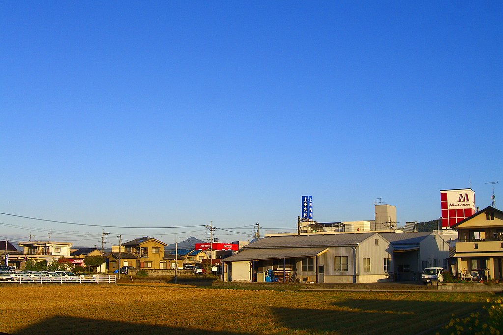 秋晴れ