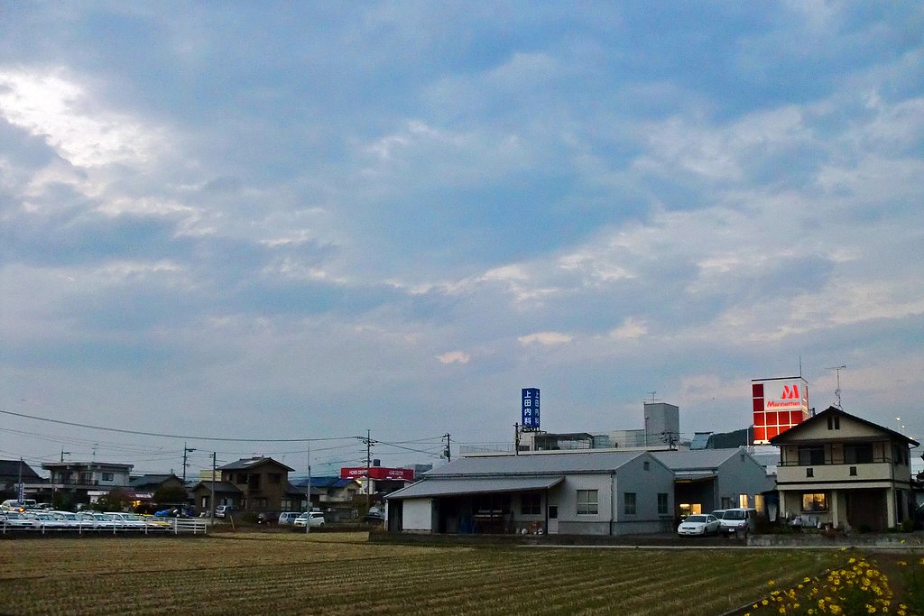 定点夕暮れ