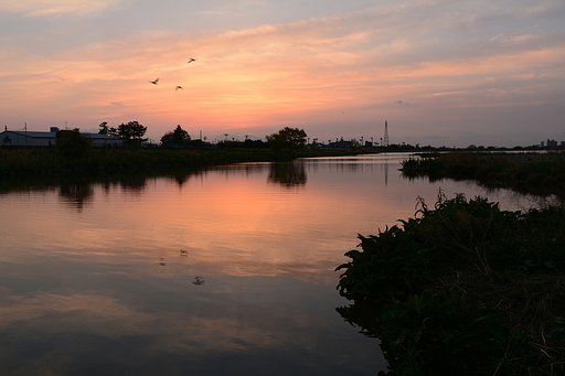 春の夜明け