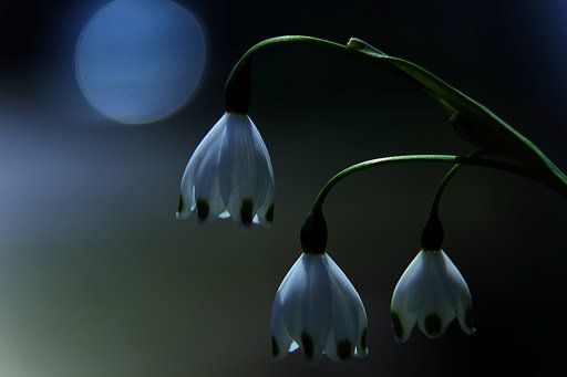 ソフトで夜遊び