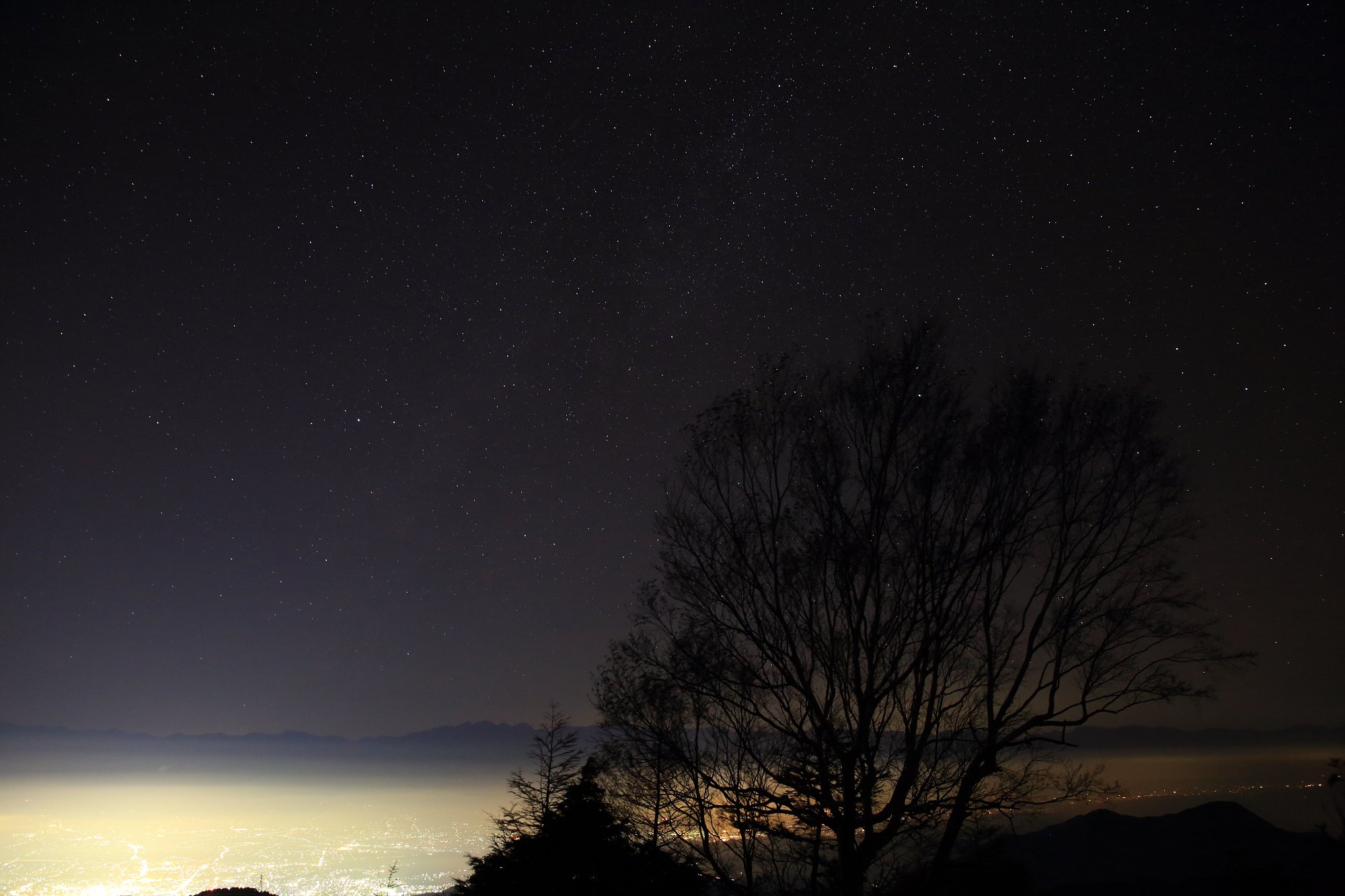 地上の星との共存