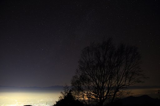 地上の星との共存