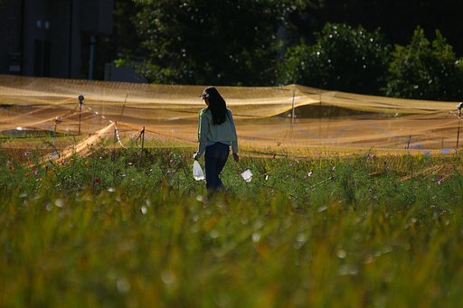【風を感じて】　少女