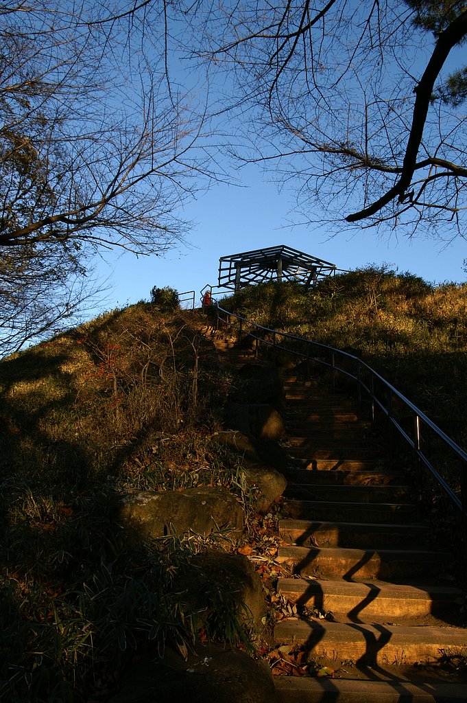 戸山公園の箱根山
