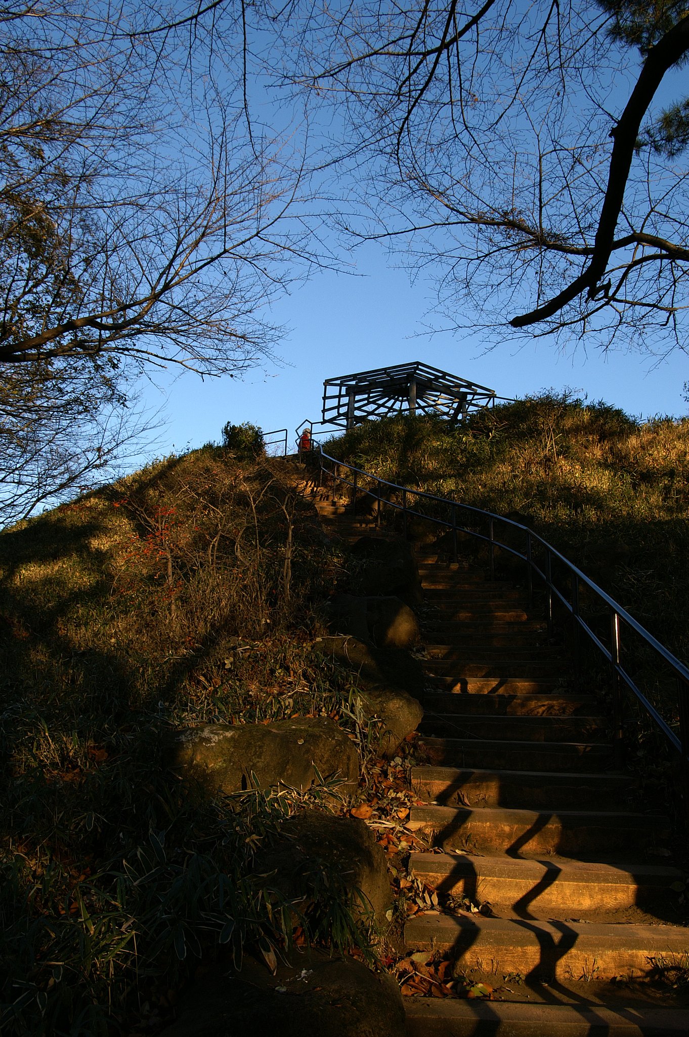 戸山公園の箱根山