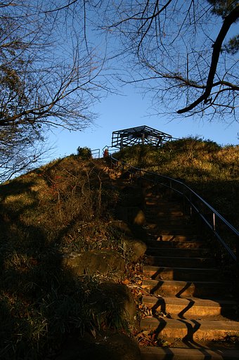 戸山公園の箱根山