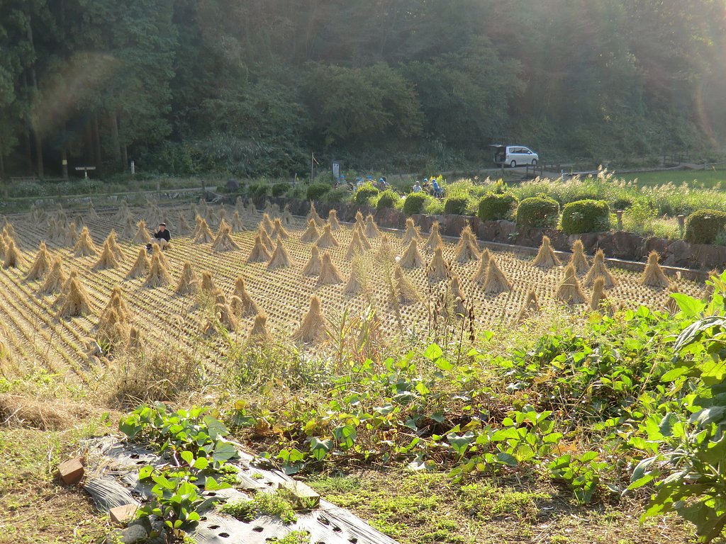 寺家ふるさと村１