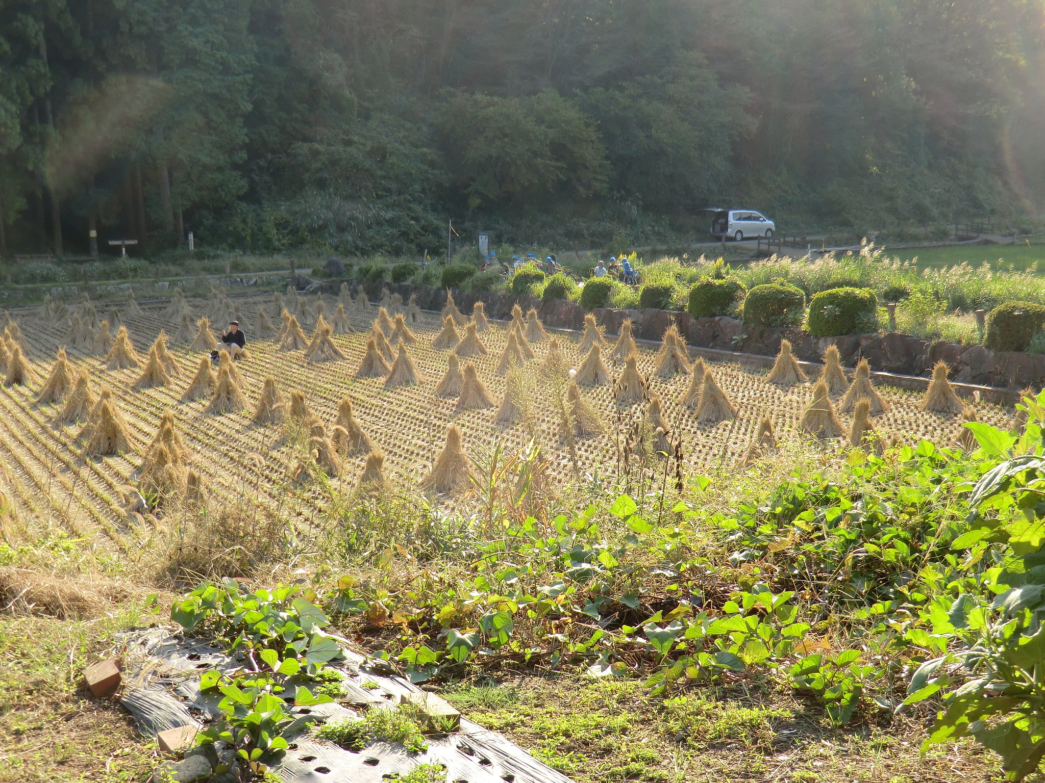 寺家ふるさと村１