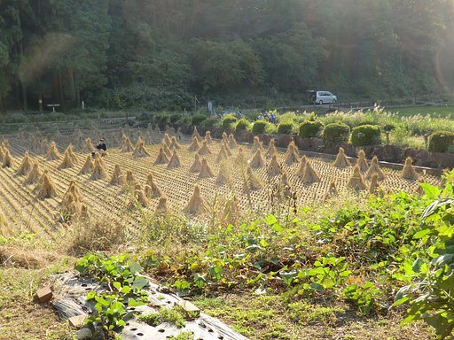 寺家ふるさと村１