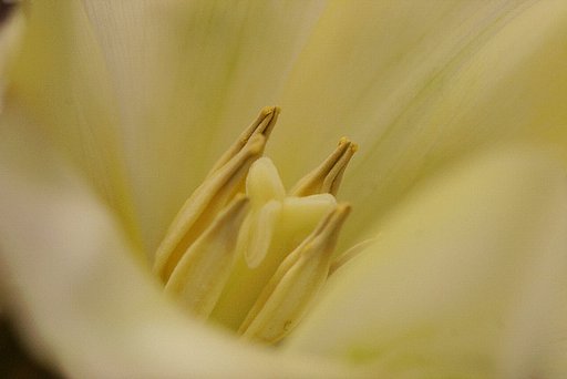 【春】これからだぁー！