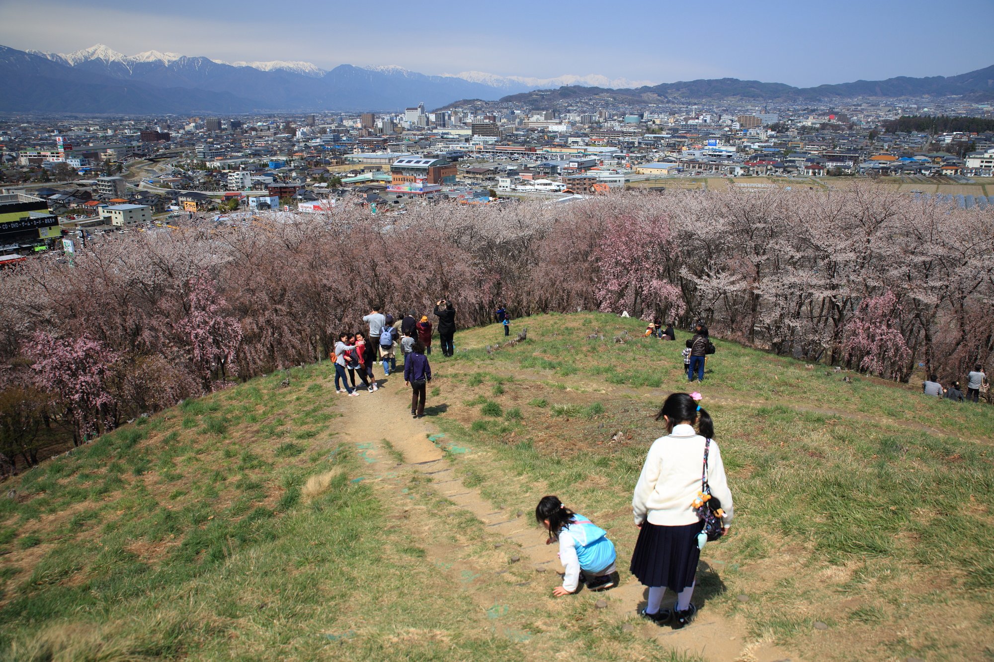 一歩ずつ、桜へ