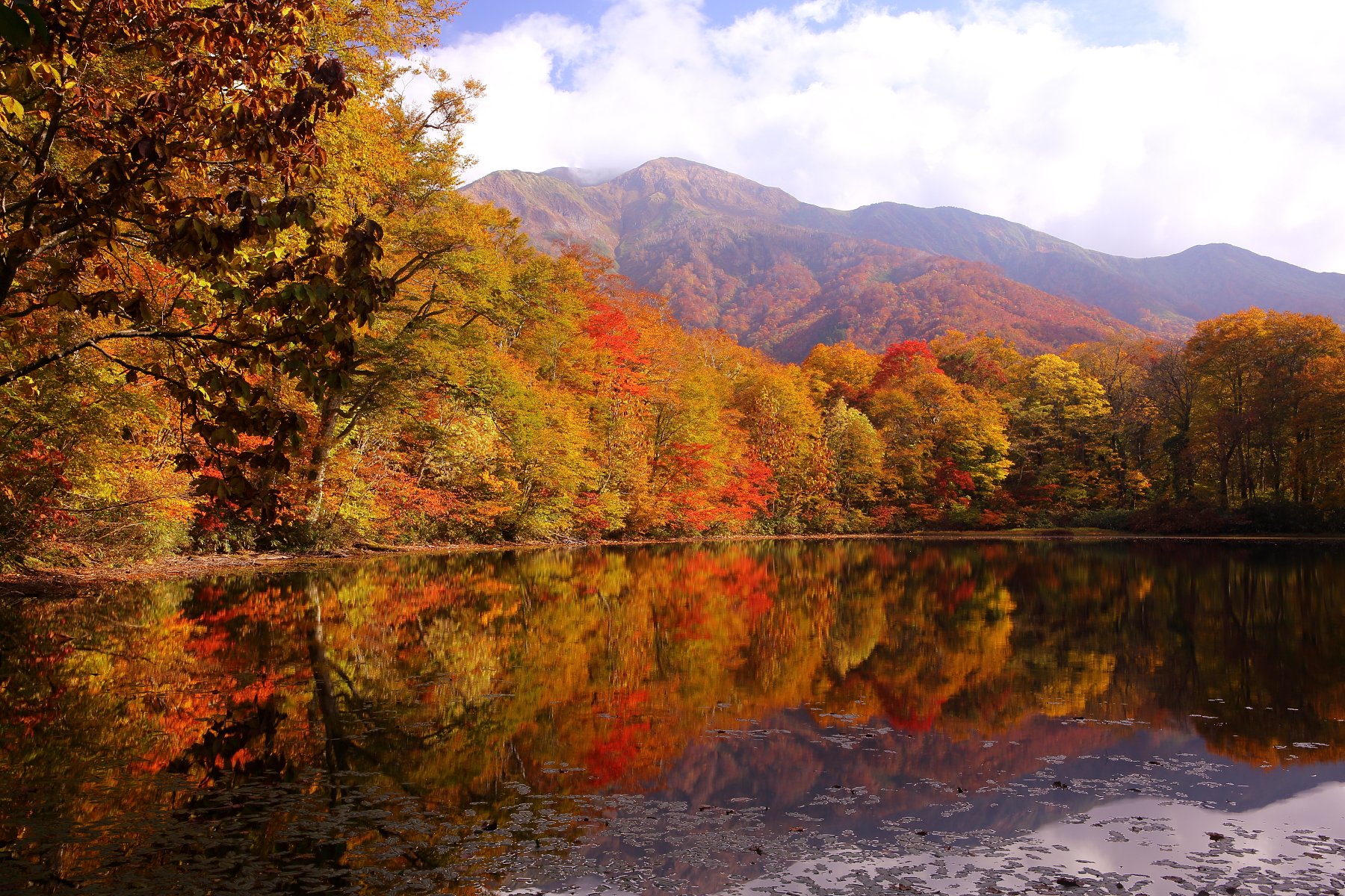 刈込池の紅葉　2012