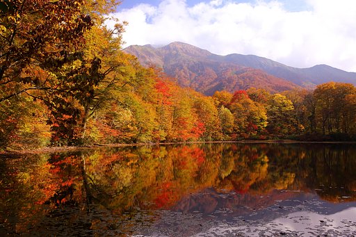 刈込池の紅葉　2012