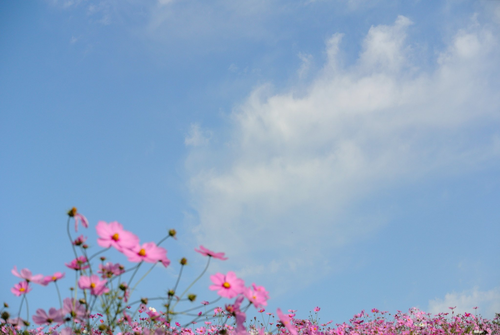雲