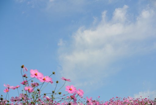 雲