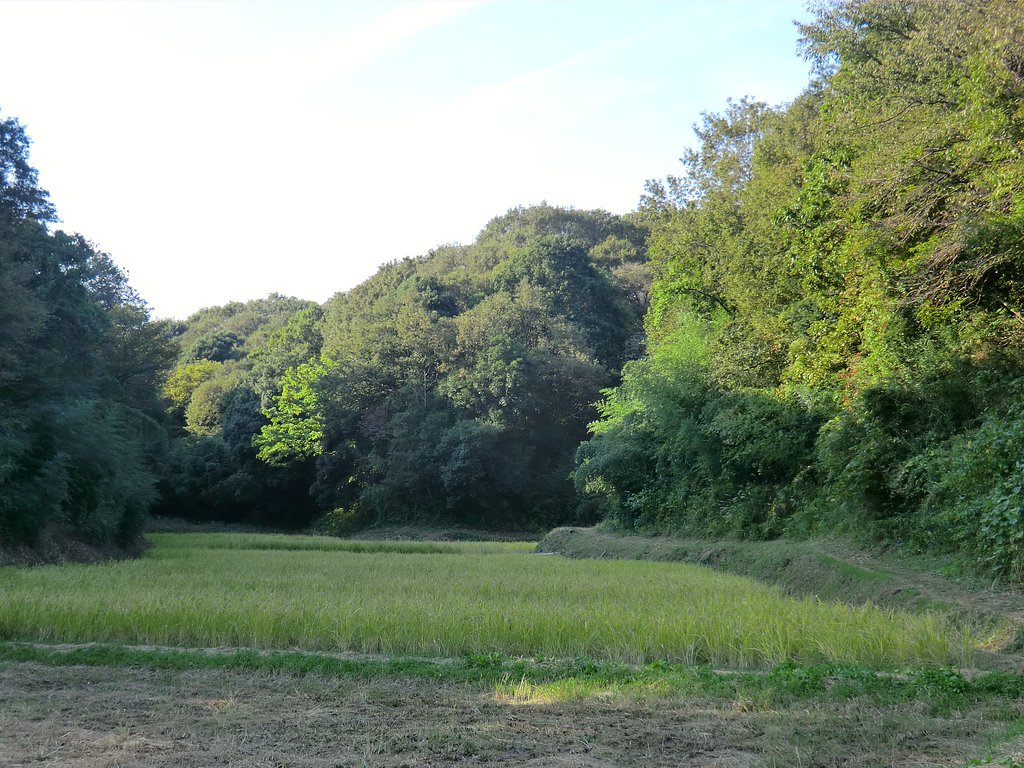 寺家ふるさと村４