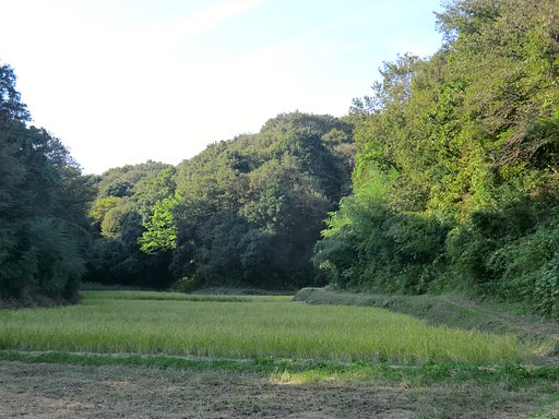 寺家ふるさと村４