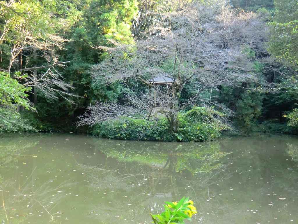 寺家ふるさと村７