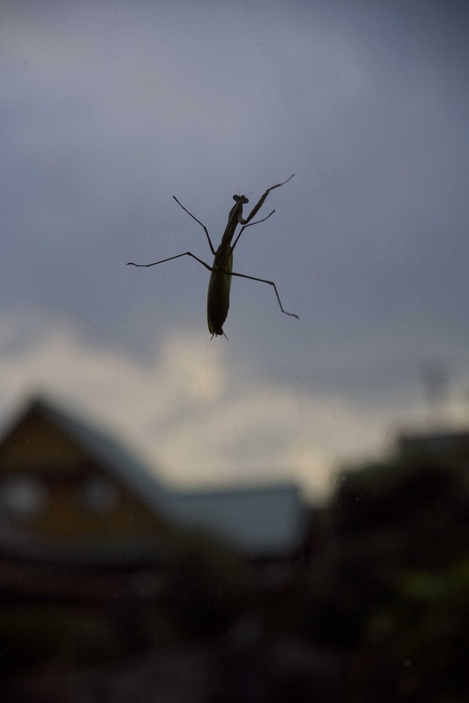 冷える