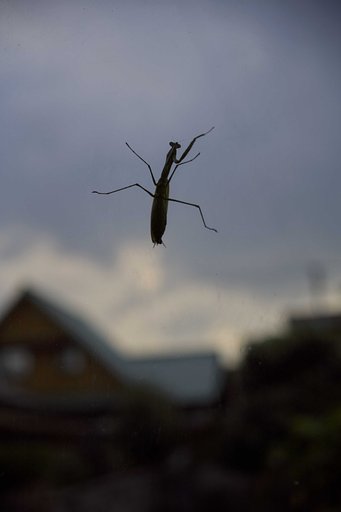 冷える