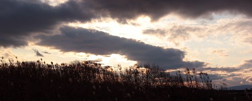 芦河原の夕暮れ
