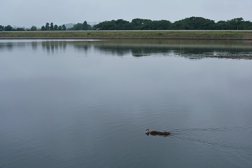 梅雨間近