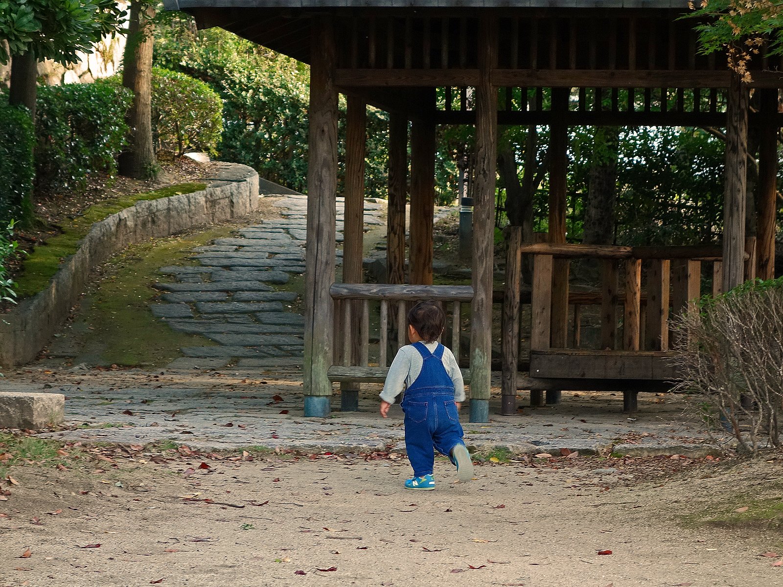 公園を走る