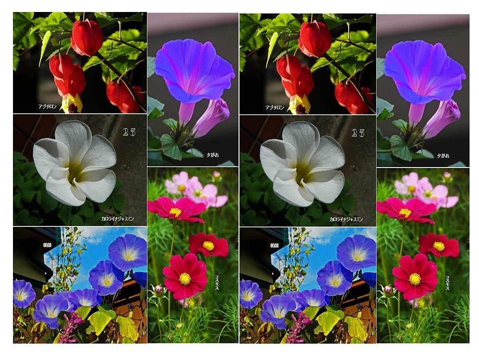 写真集Ｐ２５