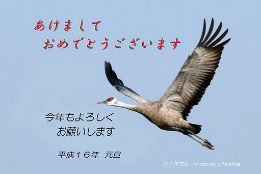 あけましたおめでとうごあいます