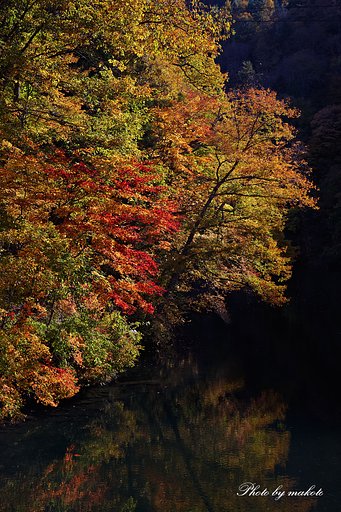 錦絵の水面