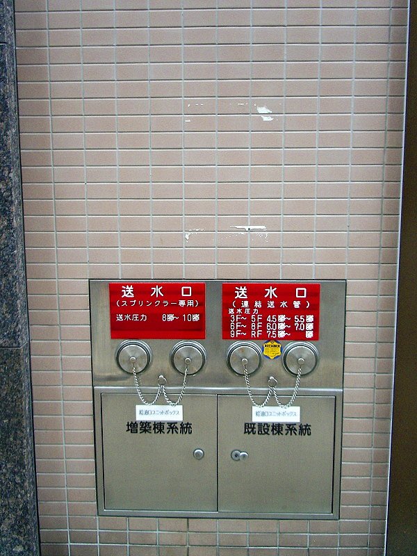 はっきりとパターン