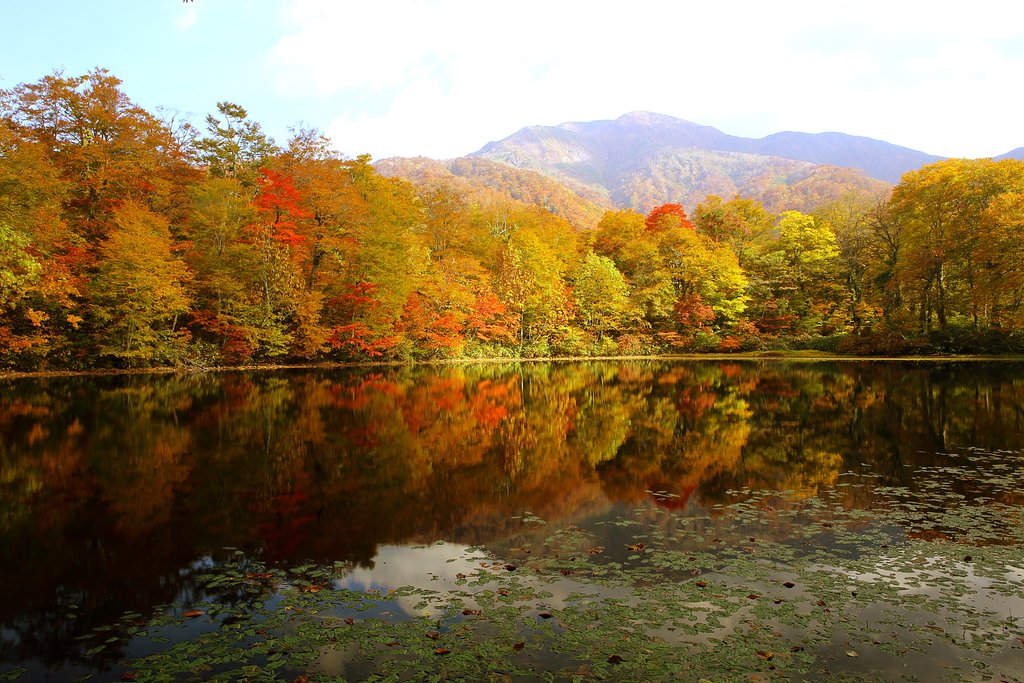 刈込池の紅葉　2012-2