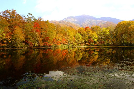 刈込池の紅葉　2012-2