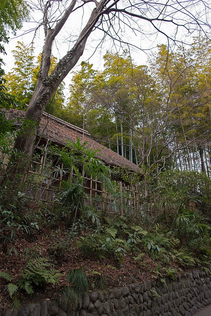 坂道の茅葺き