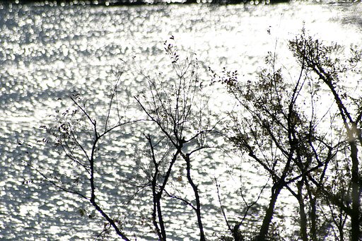 川面・・・・・ん、、海か？