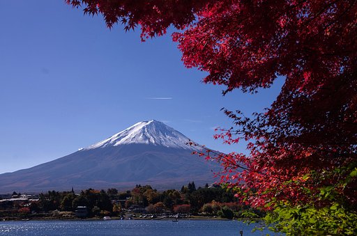 富士山と紅葉