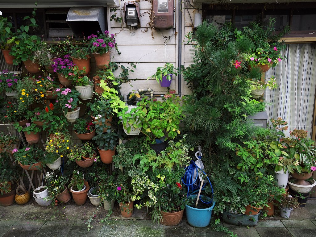 【街角スナップ】私設植物園