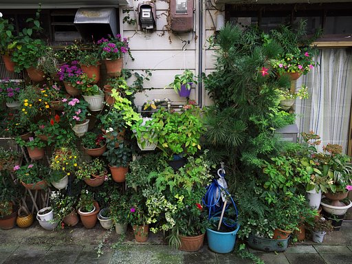 【街角スナップ】私設植物園