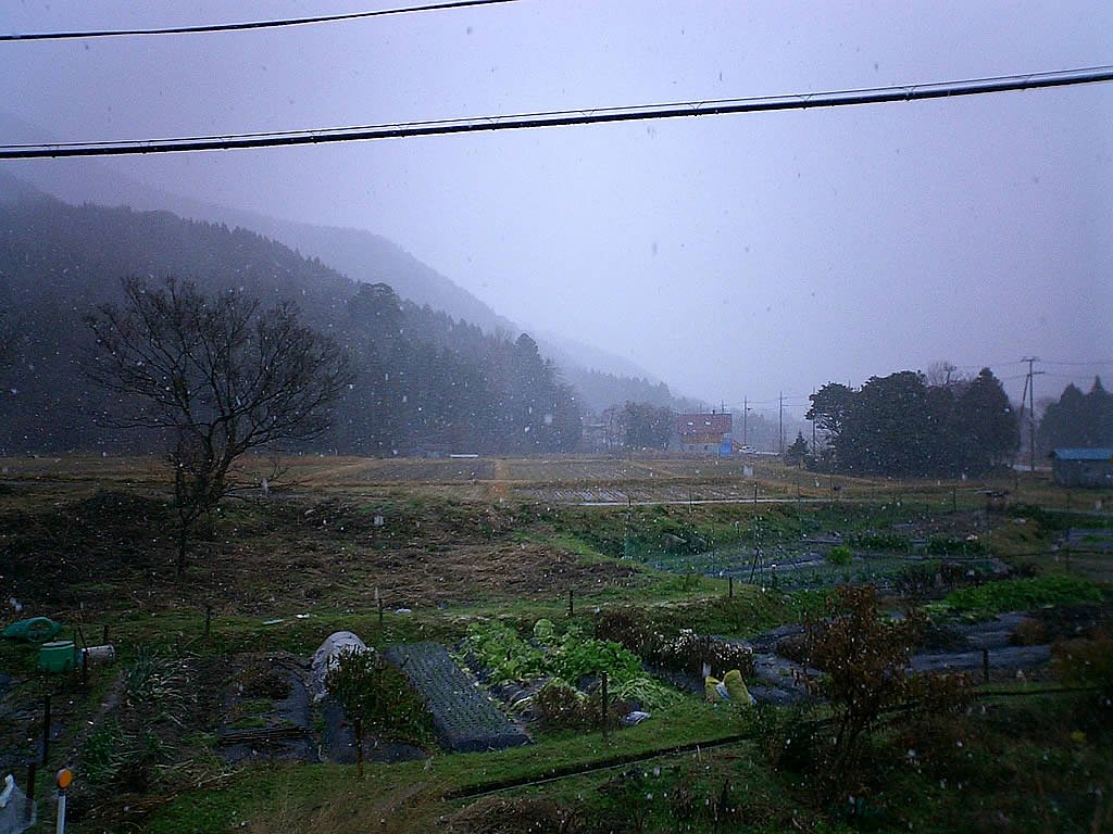 初雪