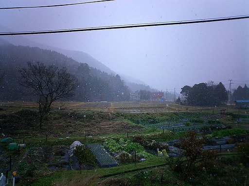 初雪