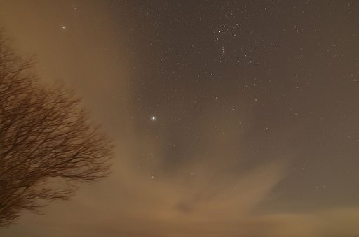 1月18日の写真