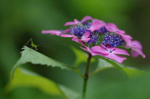 アリンコが見た風景