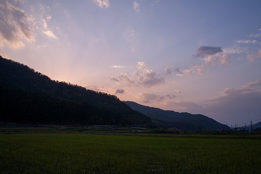 一寸だけ夕焼けに・・。
