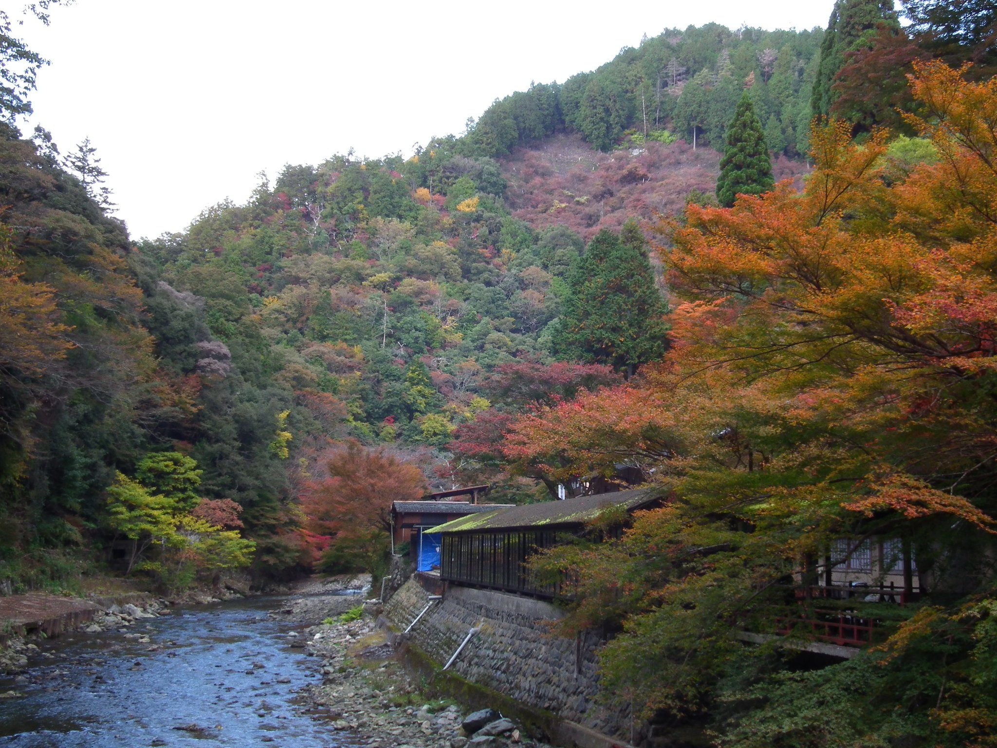 高雄ー神護寺