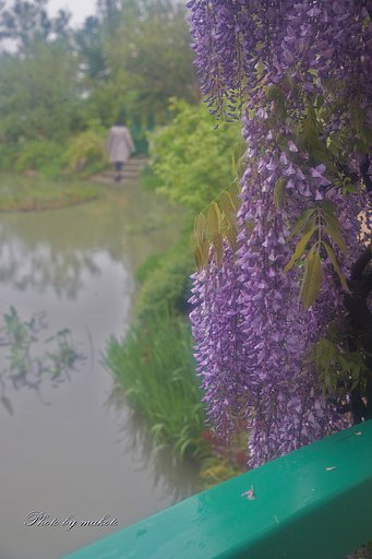 5月前の庭園にて