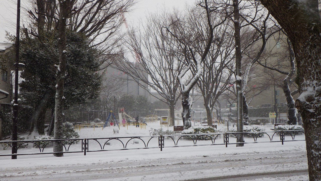 大雪の日・・・