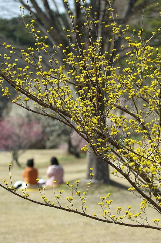 「春」春の日差しの中で
