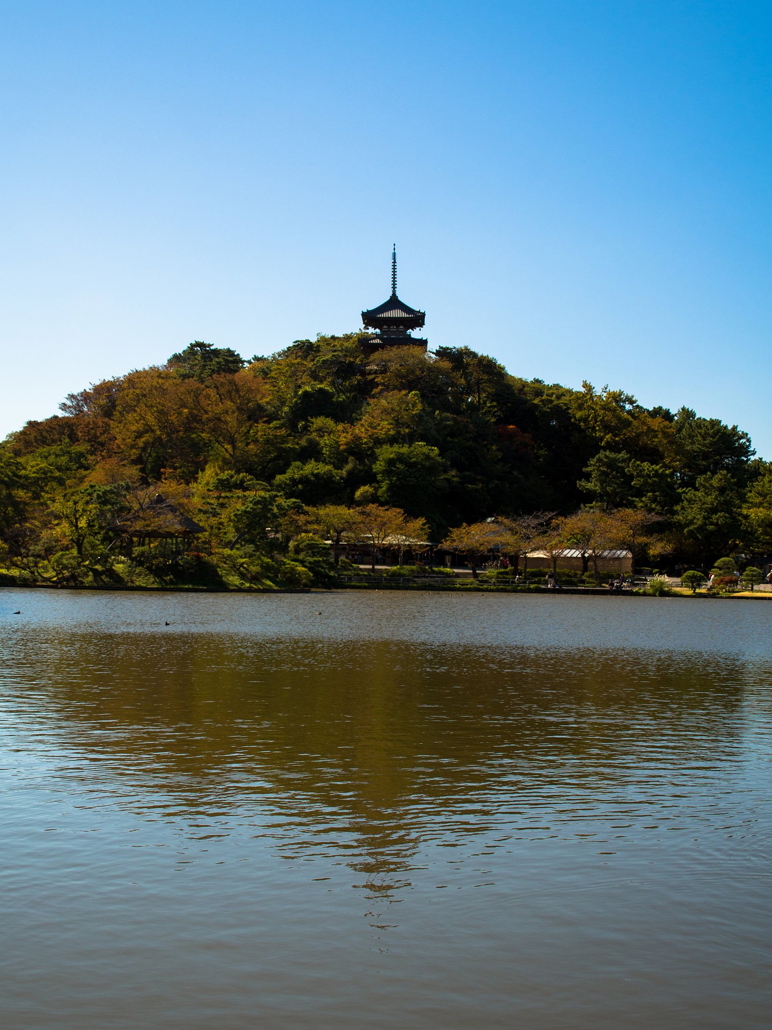 三渓園