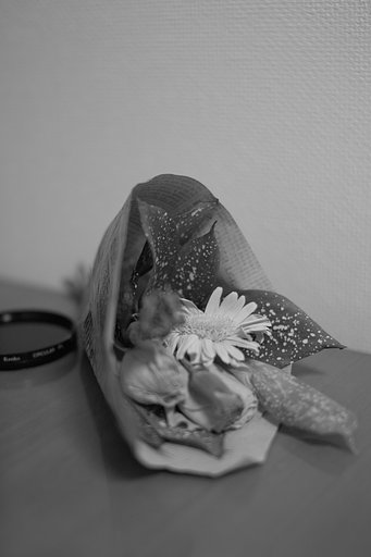 朽ちてゆくもの＿村八分はいや～ん＿SPP編集